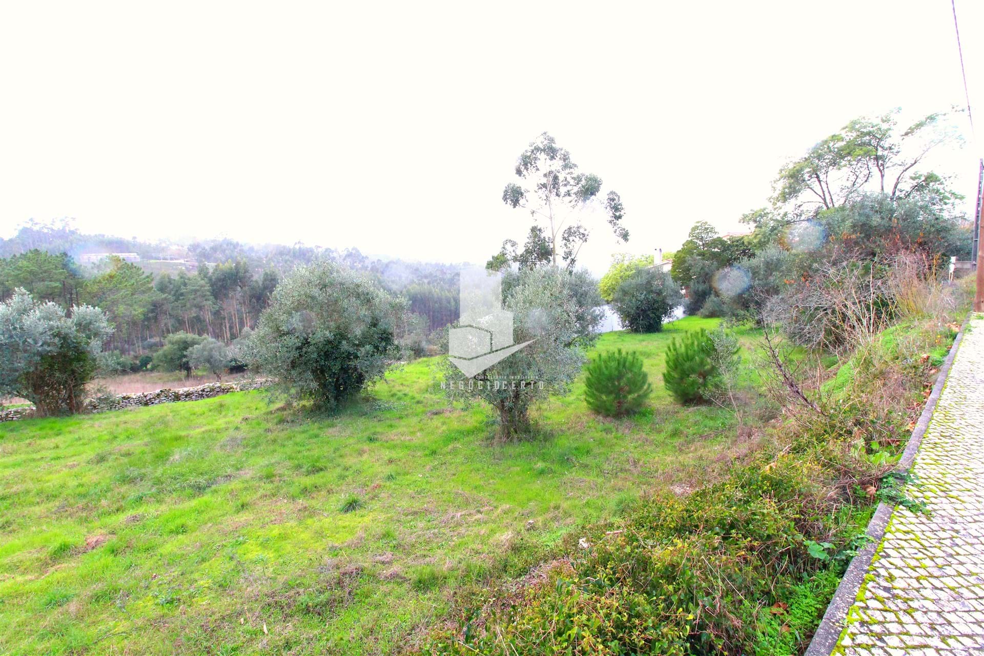 Land, For Sale