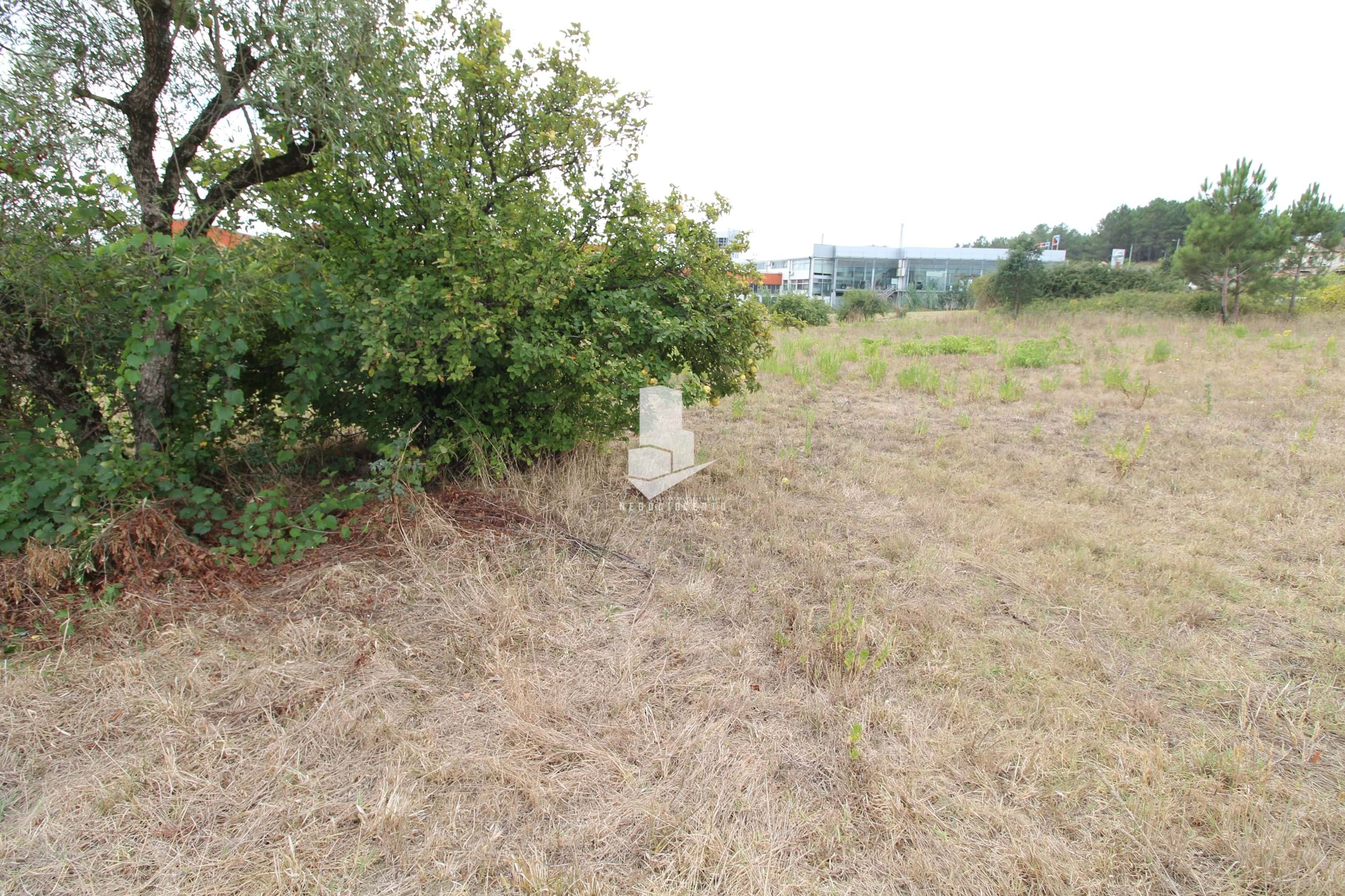 Land, For Sale