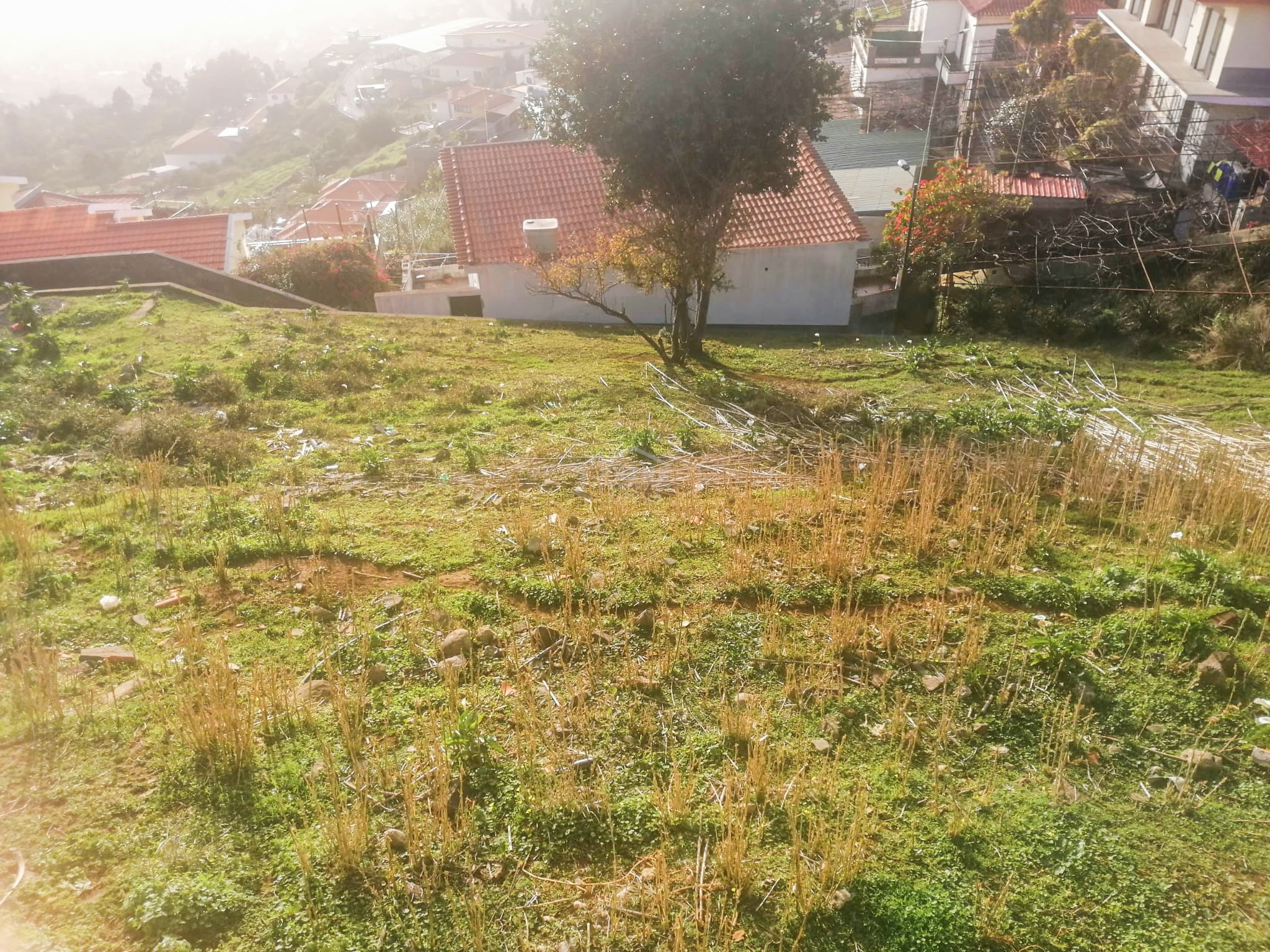 Land, For Sale