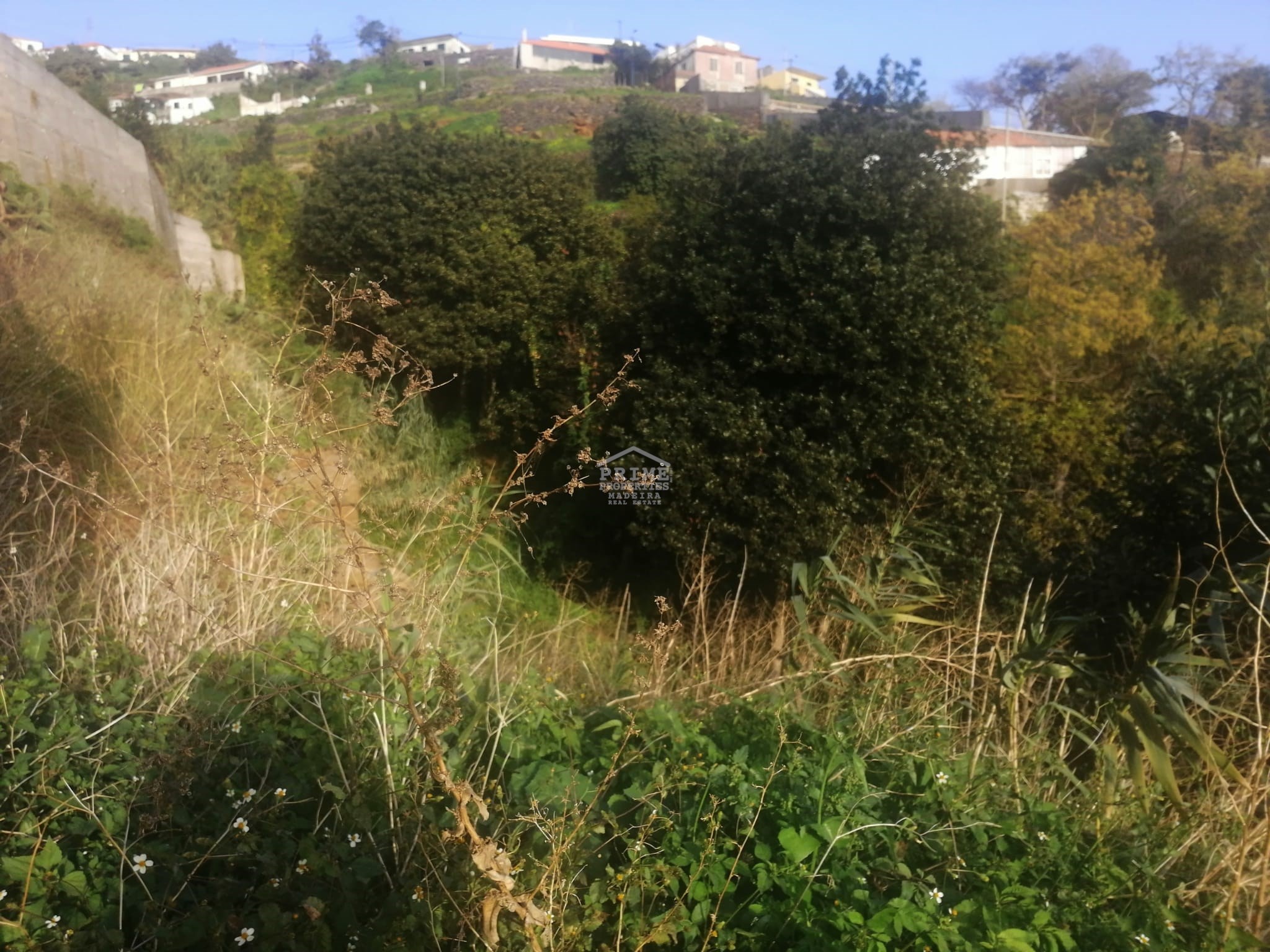 Land, For Sale
