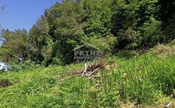 Land, For Sale