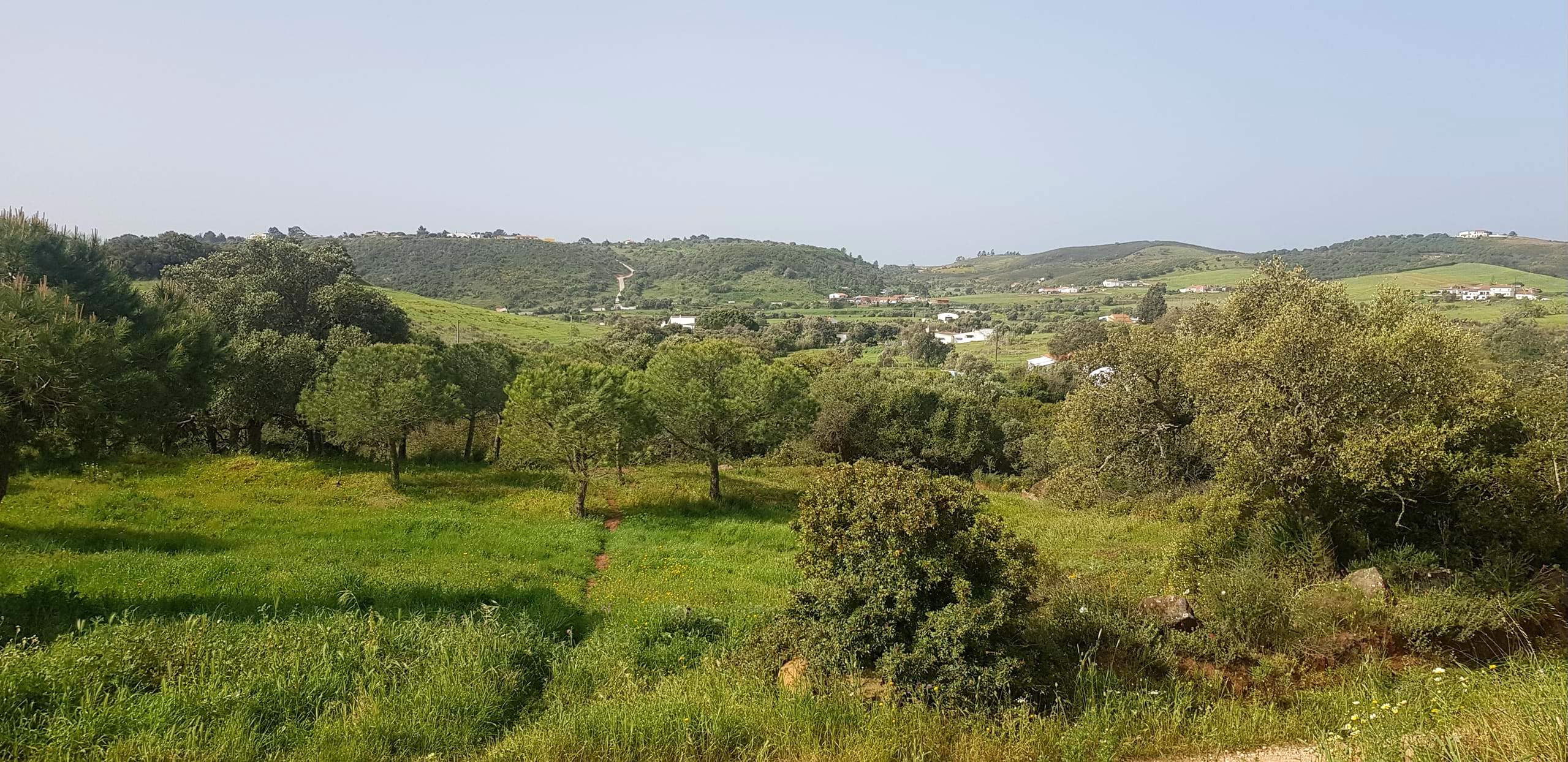 Land, For Sale