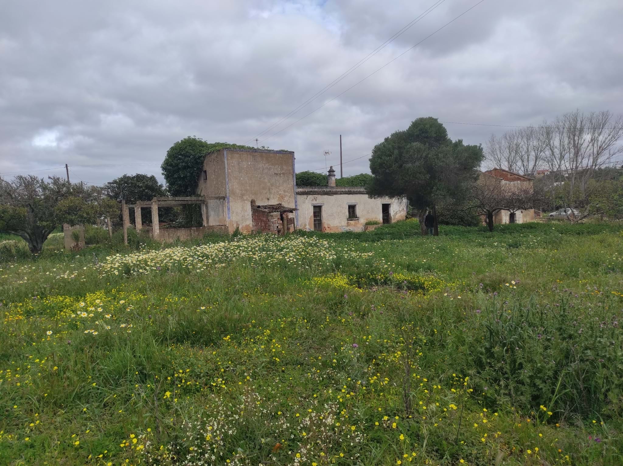 Land, For Sale