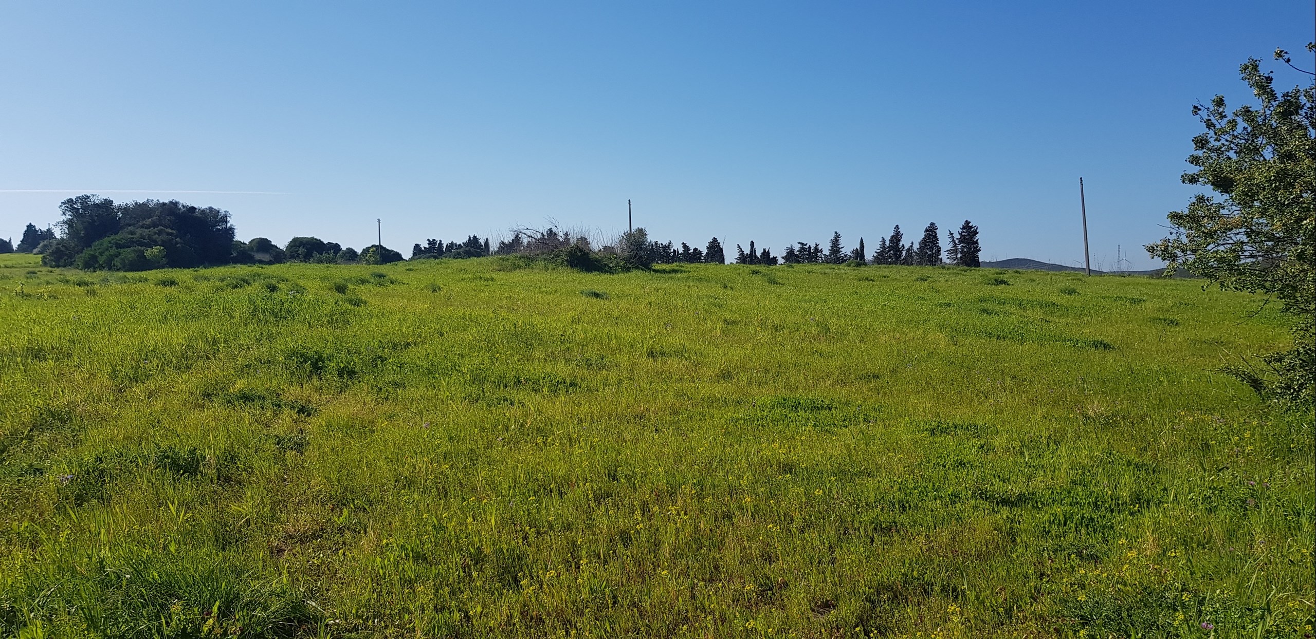Land, For Sale