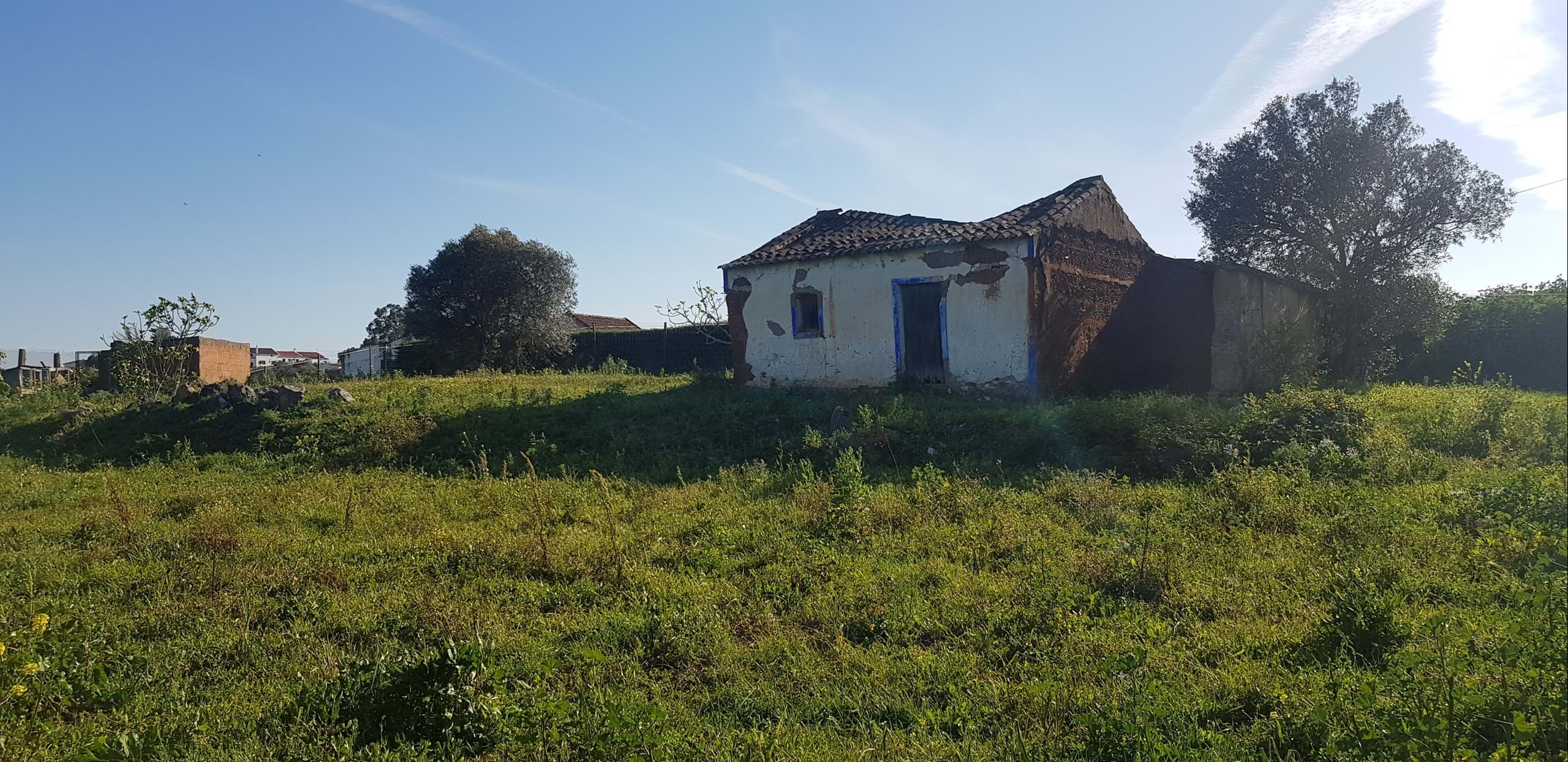 Land, For Sale