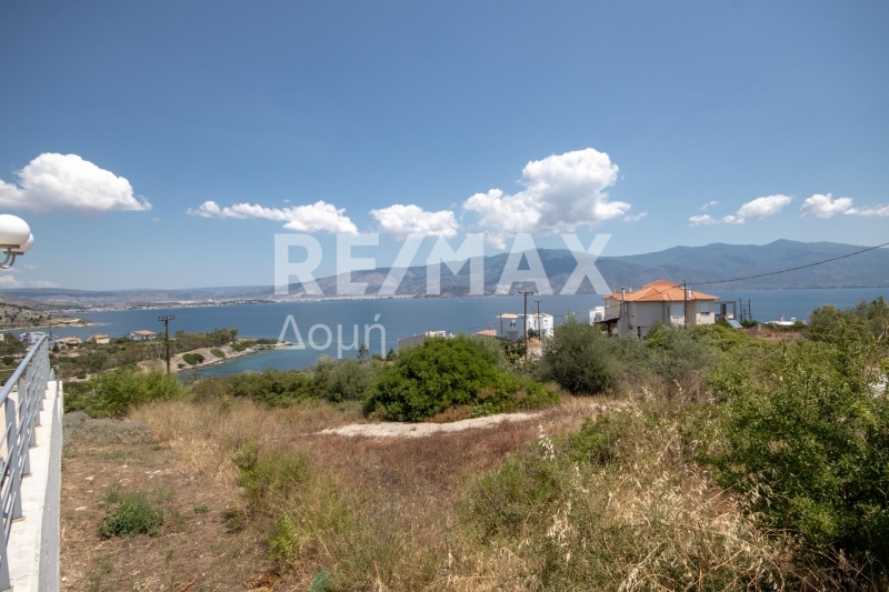 Land, For Sale