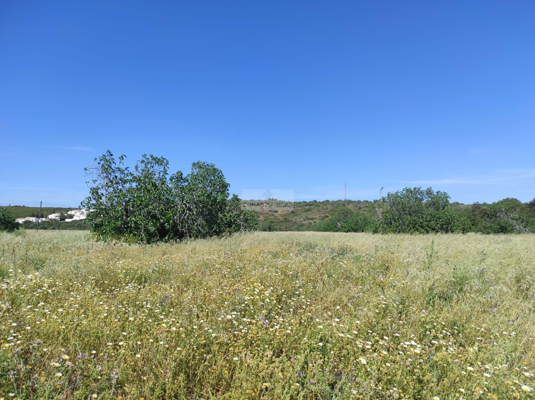 Land, For Sale